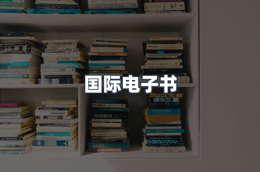 国际电子书